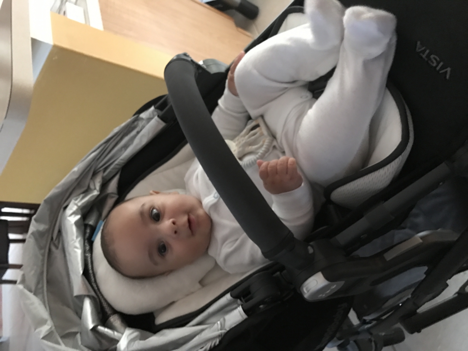 uppababy vista infant seat