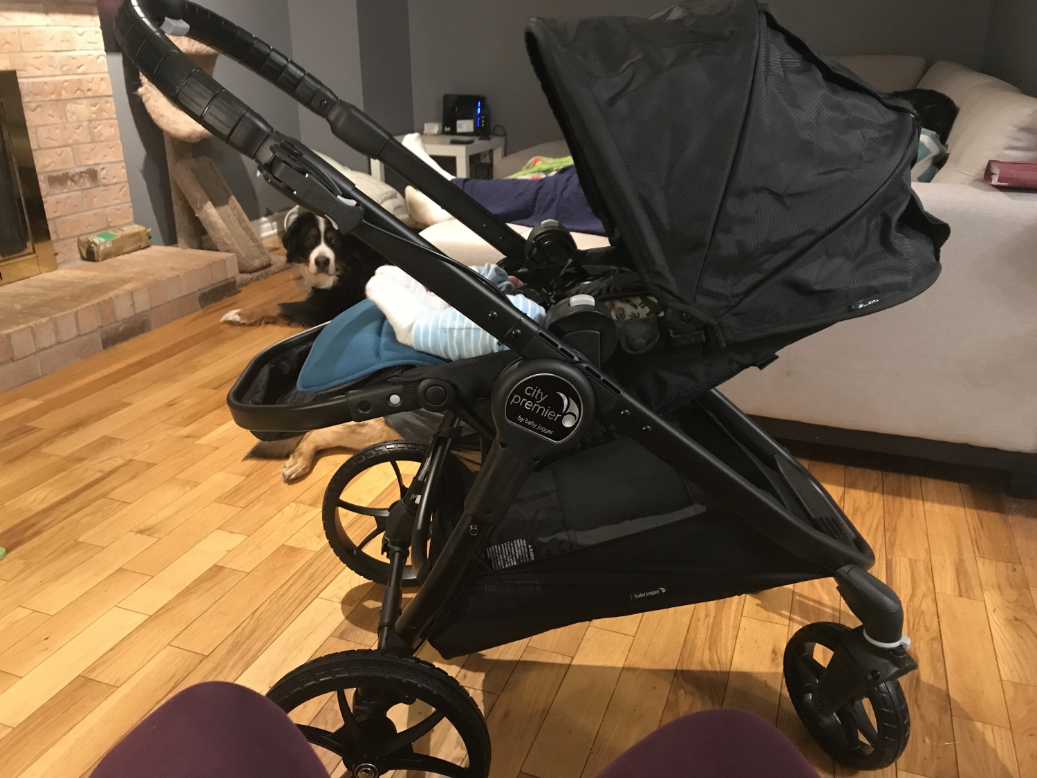kant ordbog ulykke Baby Jogger City Premier Single Stroller - Indigo