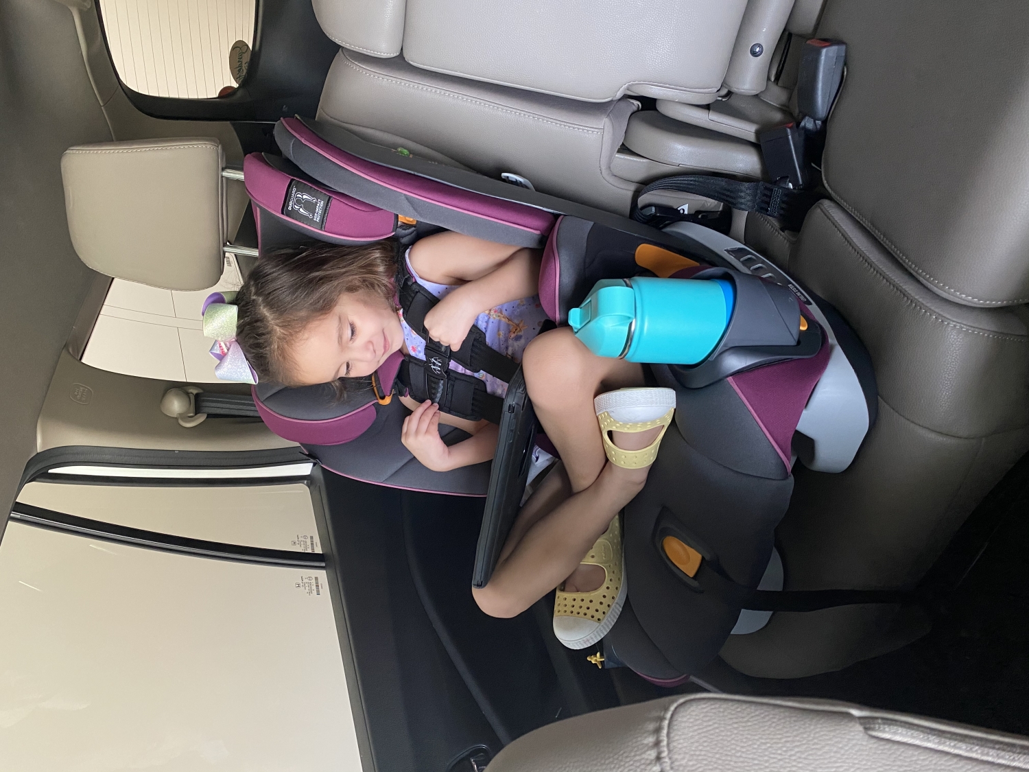 MyFit ClearTex Harness + Booster Car Seat - Shadow