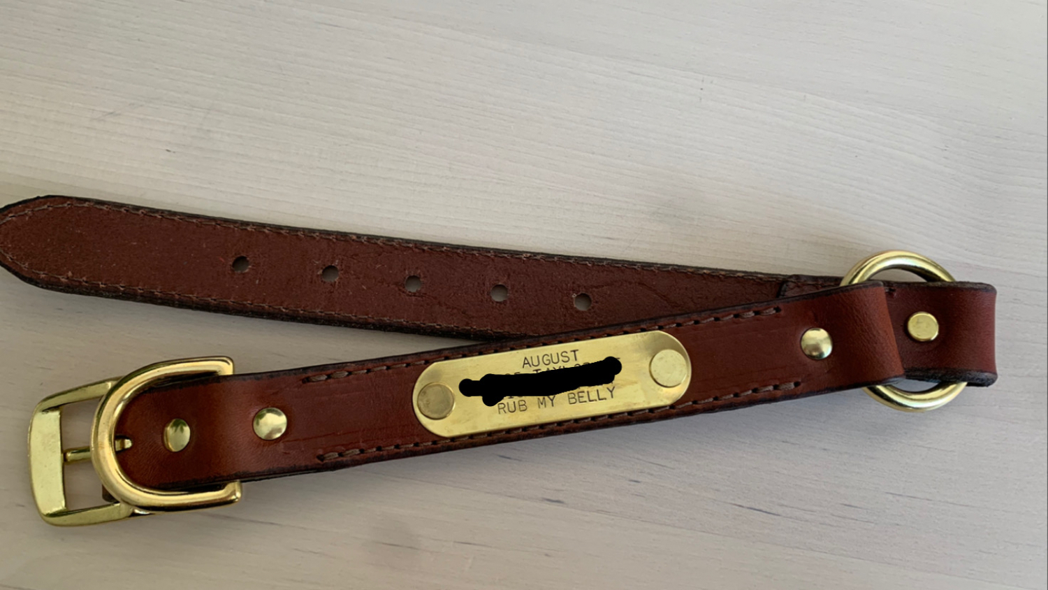 Leather Dog Collar with Name Plate. $19.99 (Save $5.00)