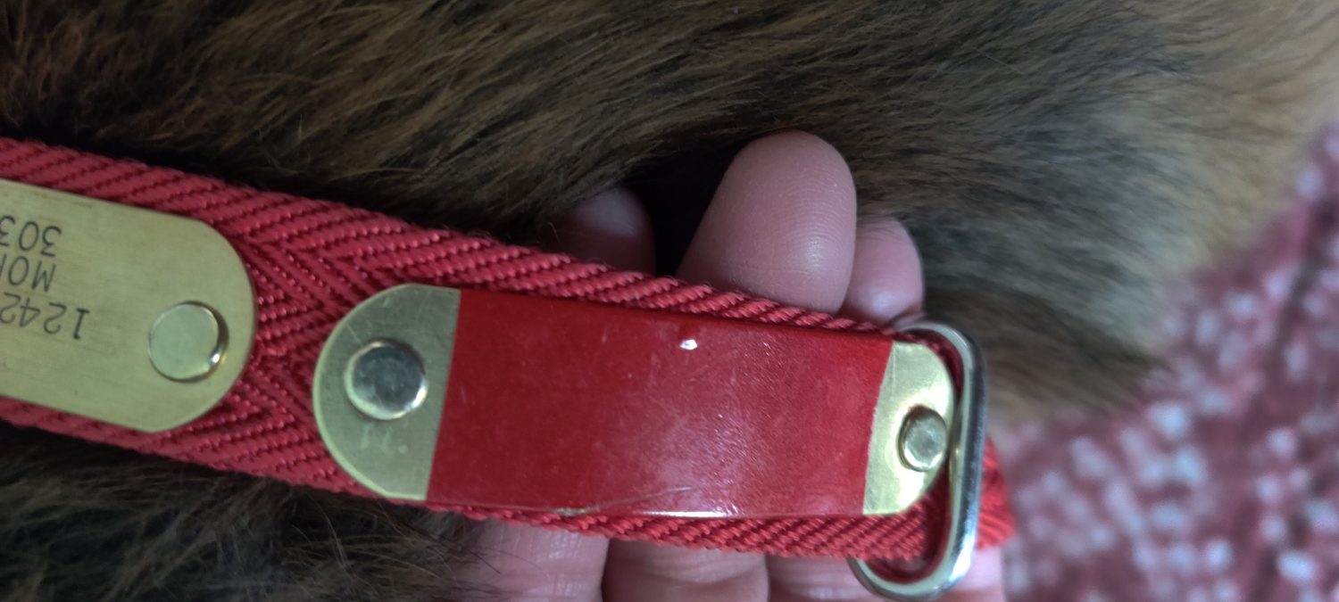 1/2 Custom Brass Name Plate Engraved Stamped Tag with Rivets for Dog  Collars