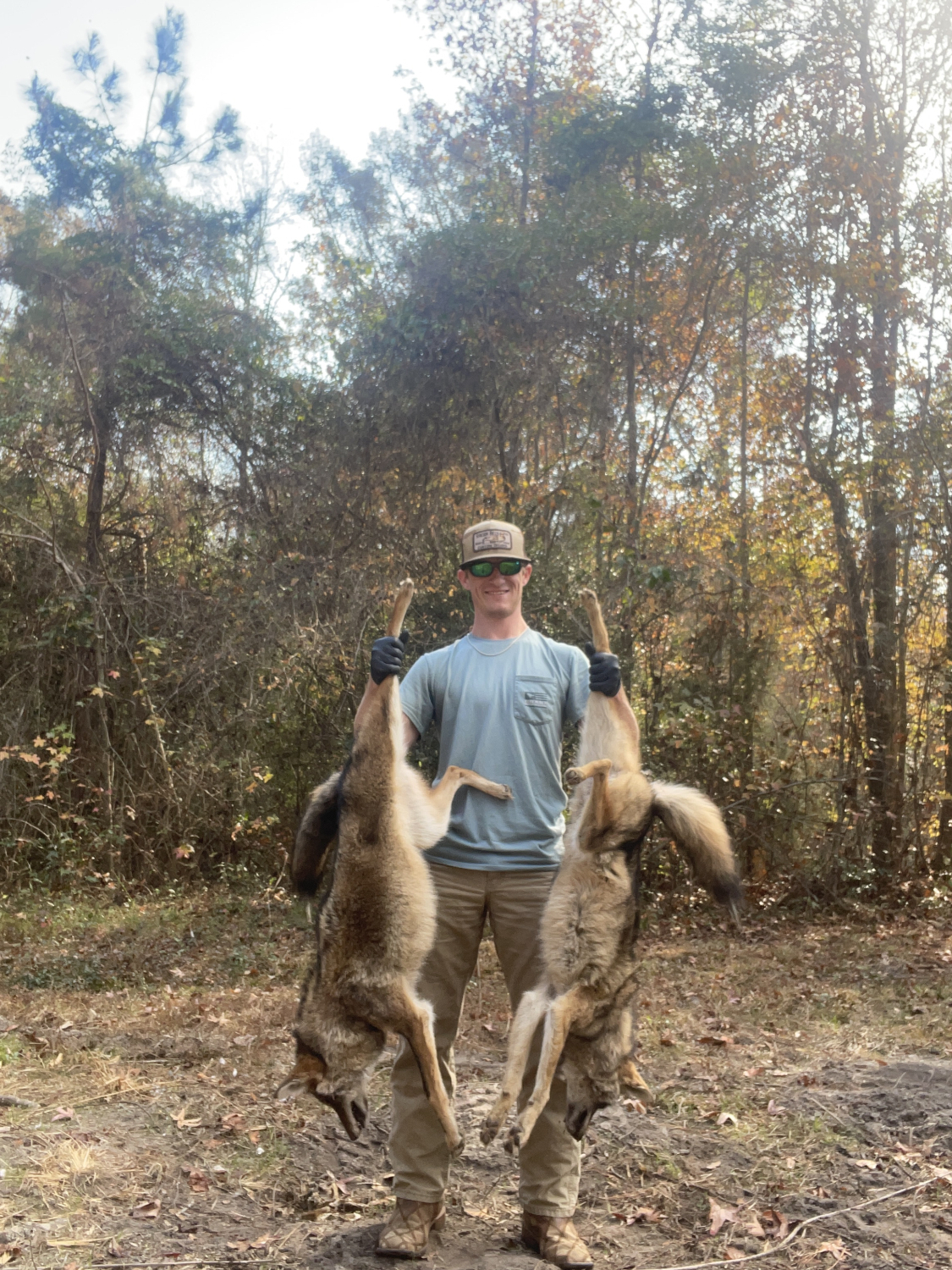 Coyote Bait #2 - 16 oz