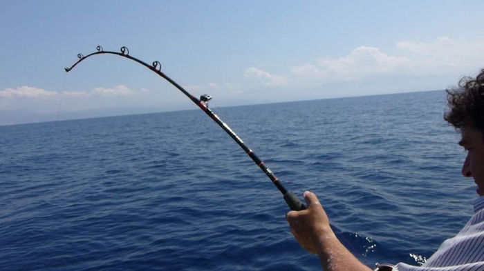 Penn Senator Reel 114H2LW 6/0 SPCL Wide Spool - Multi Reel, Fishing Reel  for Sea Fishing, Big Game Reel : : Sports & Outdoors