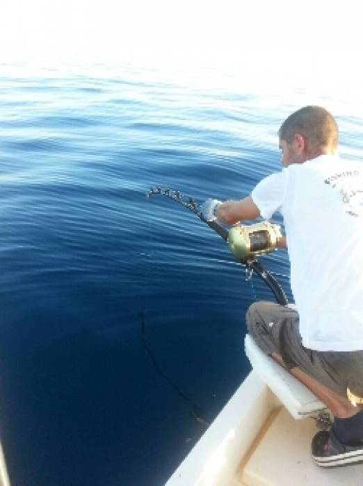 Shimano Tiagra TI50WLRSA Fishing Reel