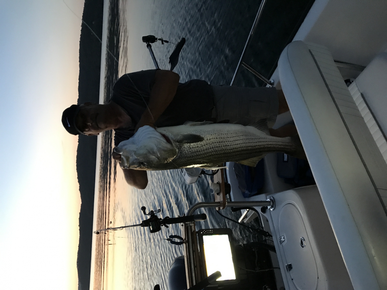 Zwing Downriggers TackleDirect