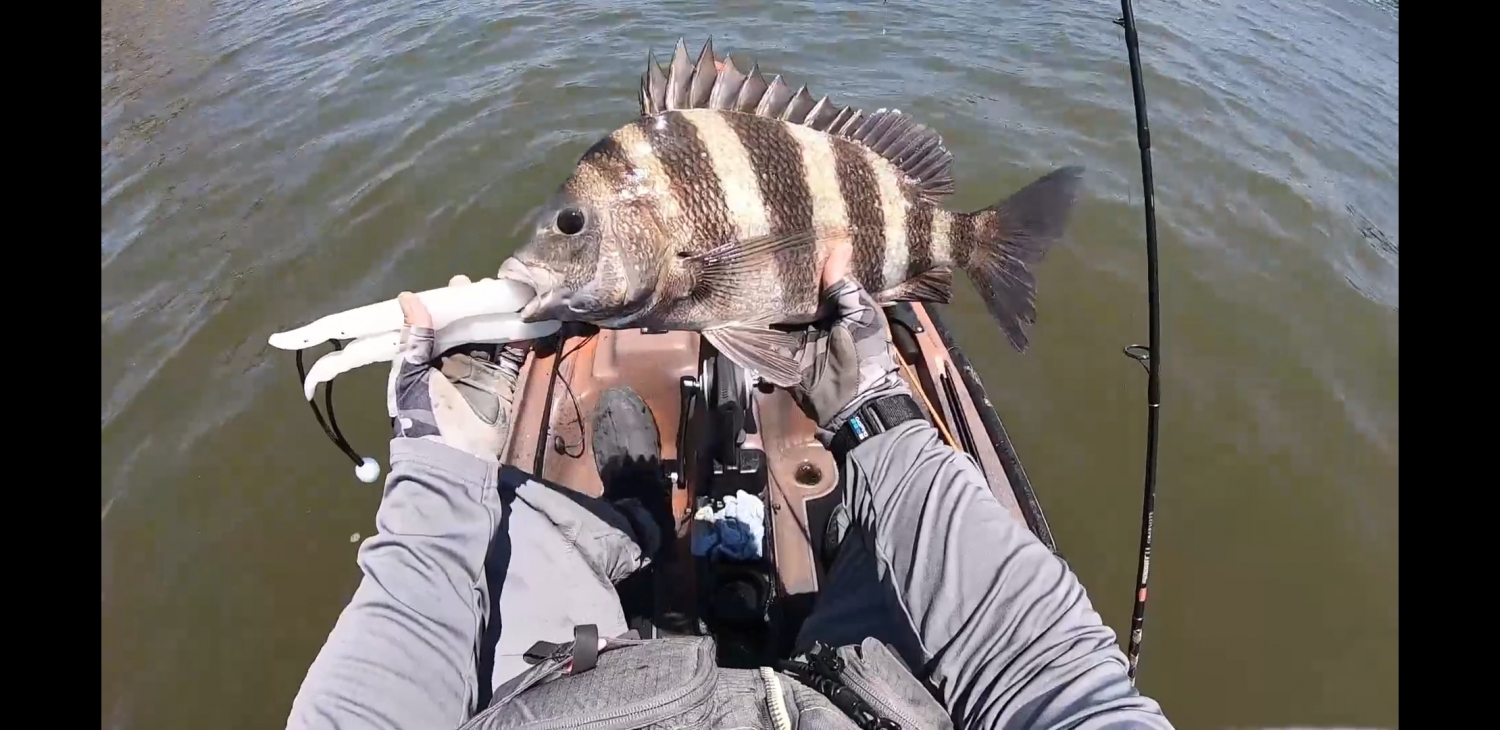 Bottom Sweeper Jigs TackleDirect