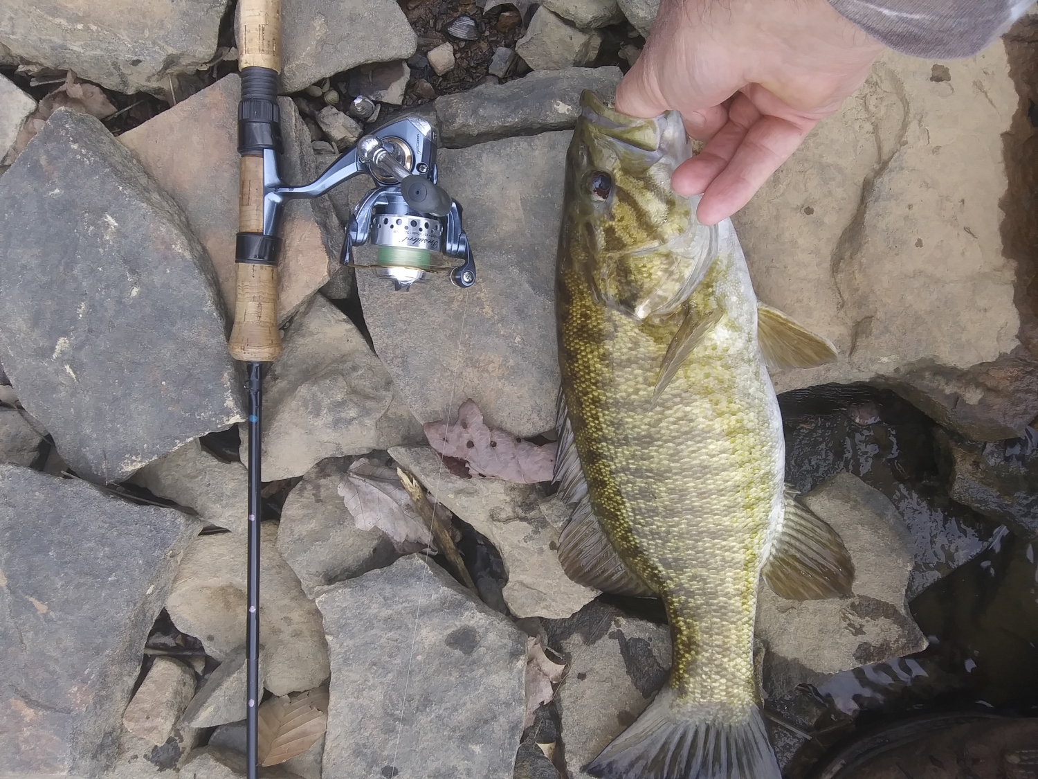What size and kind of line should I put on a Pflueger President spinning  reel for bass fishing? - Quora