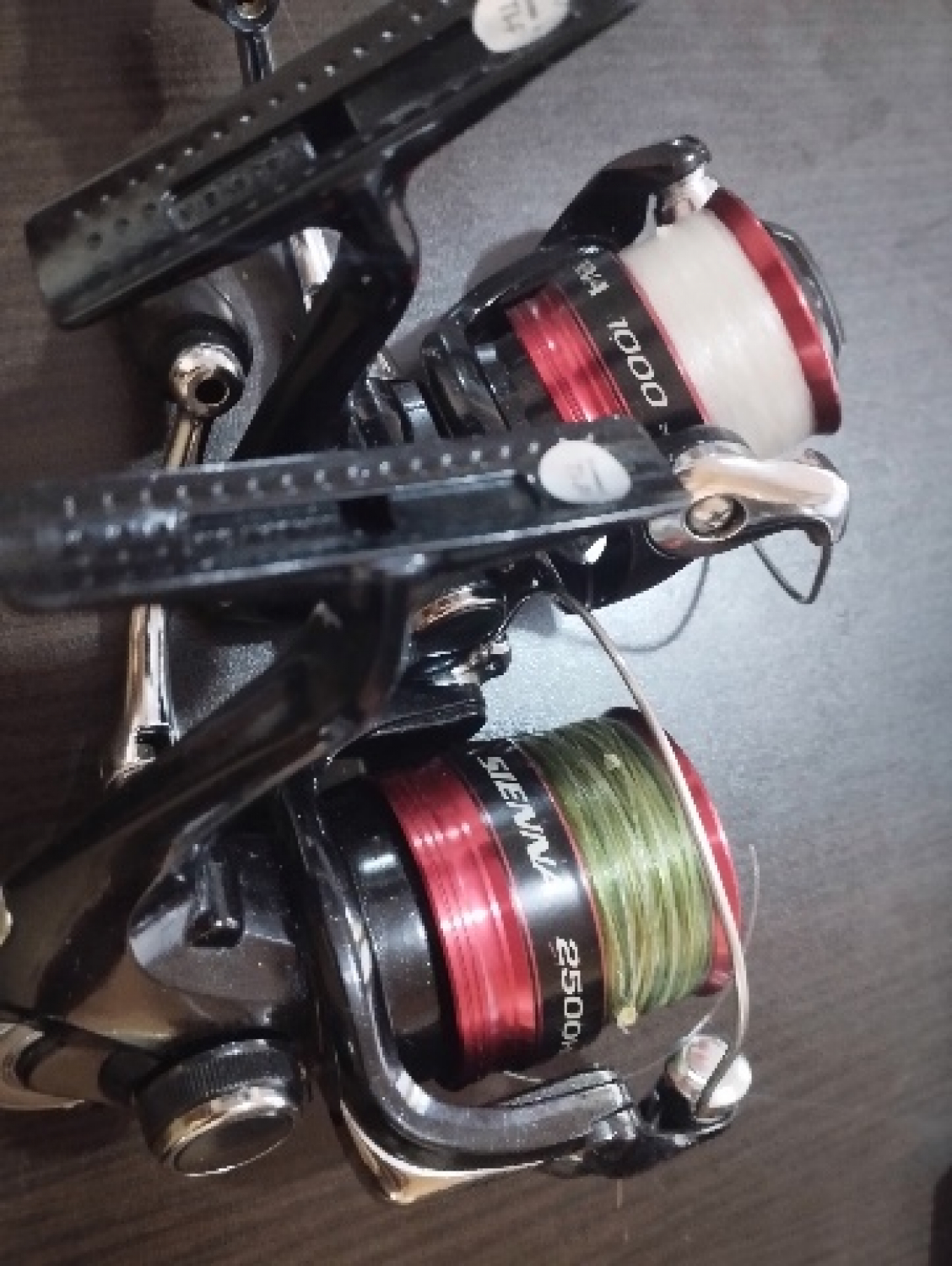 Shimano Sienna 1000 RE, Carphunter&Co Shop, The Tackle Store
