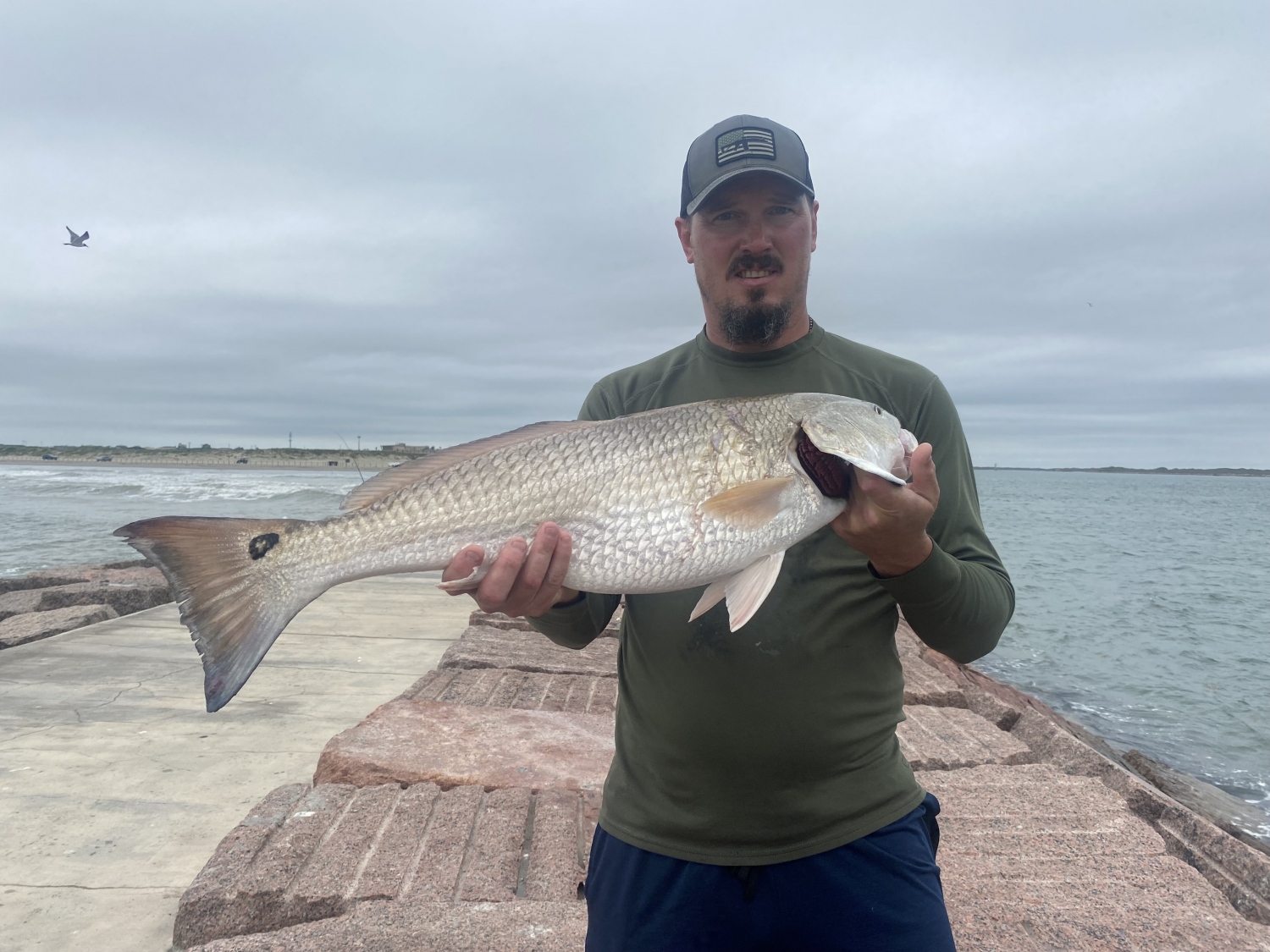 Gator Lures 1/2 Stainless Steel Gator Spoon