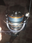 Daiwa Revros LT 2000 Spinning Reel - TackleDirect