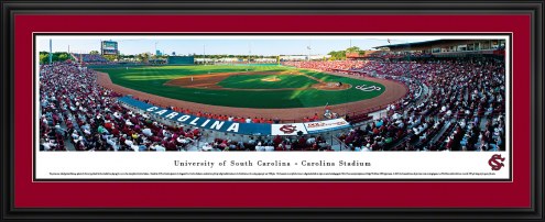 South Carolina Gamecocks Baseball Panorama