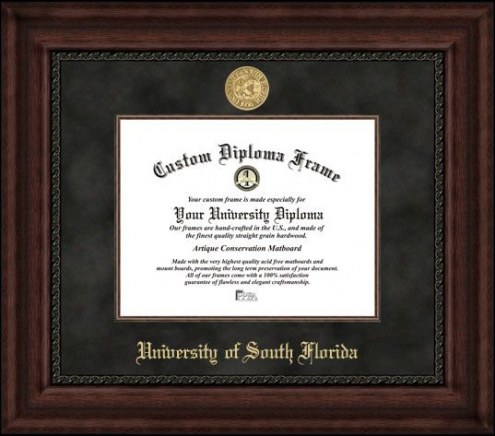 South Florida Bulls Executive Diploma Frame