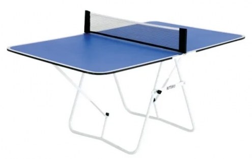 Butterfly Family Ping Pong Table