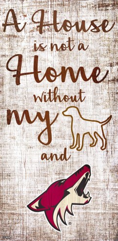 Arizona Coyotes House is Not a Home Sign