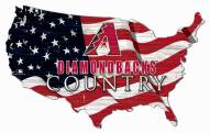 Arizona Diamondbacks 15" USA Flag Cutout Sign