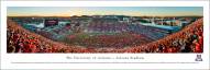 Arizona Wildcats Arizona Stadium Panorama
