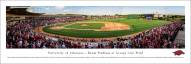 Arkansas Razorbacks Baseball Panorama