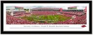 Arkansas Razorbacks Framed Stadium Print