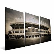 Auburn Tigers 24" x 48" Stadium Canvas Print
