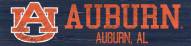 Auburn Tigers 6" x 24" Team Name Sign
