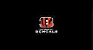 Cincinnati Bengals NFL Team Logo Billiard Cloth