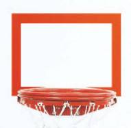 Bison Orange Replacement Backboard Shooter's Square