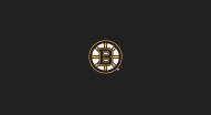 Boston Bruins NHL Team Logo Billiard Cloth