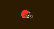 Cleveland Browns NFL Team Logo Billiard Cloth
