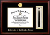 California Irvine Anteaters Diploma Frame & Tassel Box