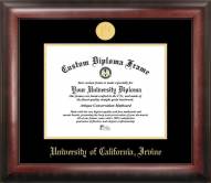 California Irvine Anteaters Gold Embossed Diploma Frame