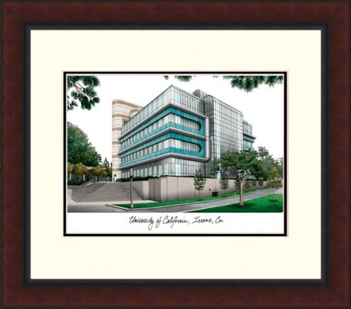 California Irvine Anteaters Legacy Alumnus Framed Lithograph