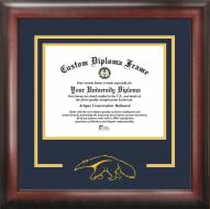 California Irvine Anteaters Spirit Diploma Frame