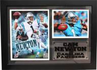 Carolina Panthers 12" x 18" Cam Newton Photo Stat Frame