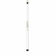 Central Florida Knights Short Pool Cue
