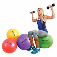 Champion Barbell Reactor Core Stability Ball