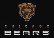 Chicago Bears 4' x 6' NFL Chrome Area Rug