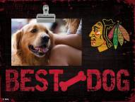 Chicago Blackhawks Best Dog Clip Frame
