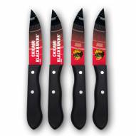 Chicago Blackhawks Steak Knives