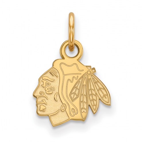 Chicago Blackhawks Sterling Silver Gold Plated Extra Small Pendant