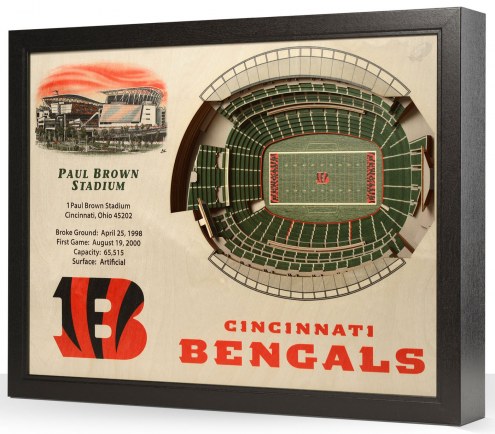 Cincinnati Bengals 25-Layer StadiumViews 3D Wall Art