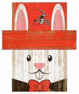 Cleveland Browns 6" x 5" Easter Bunny Head