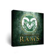 Colorado State Rams Museum Canvas Wall Art