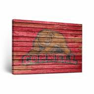 Cornell Big Red Weathered Canvas Wall Art
