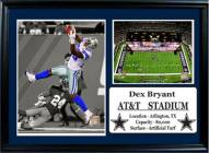 Dallas Cowboys 12" x 18" Dez Bryant Photo Stat Frame