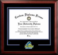 Delaware Blue Hens Spirit Diploma Frame