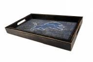 Detroit Lions Distressed Team Color Tray
