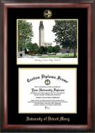 Detroit Mercy Titans Gold Embossed Diploma Frame with Campus Images Lithograph