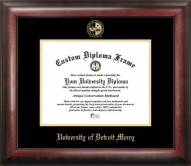 Detroit Mercy Titans Gold Embossed Diploma Frame