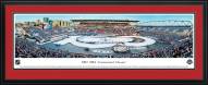 Detroit Red Wings Centennial Classic Panorama