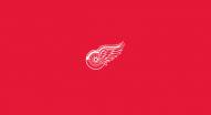Detroit Red Wings NHL Team Logo Billiard Cloth